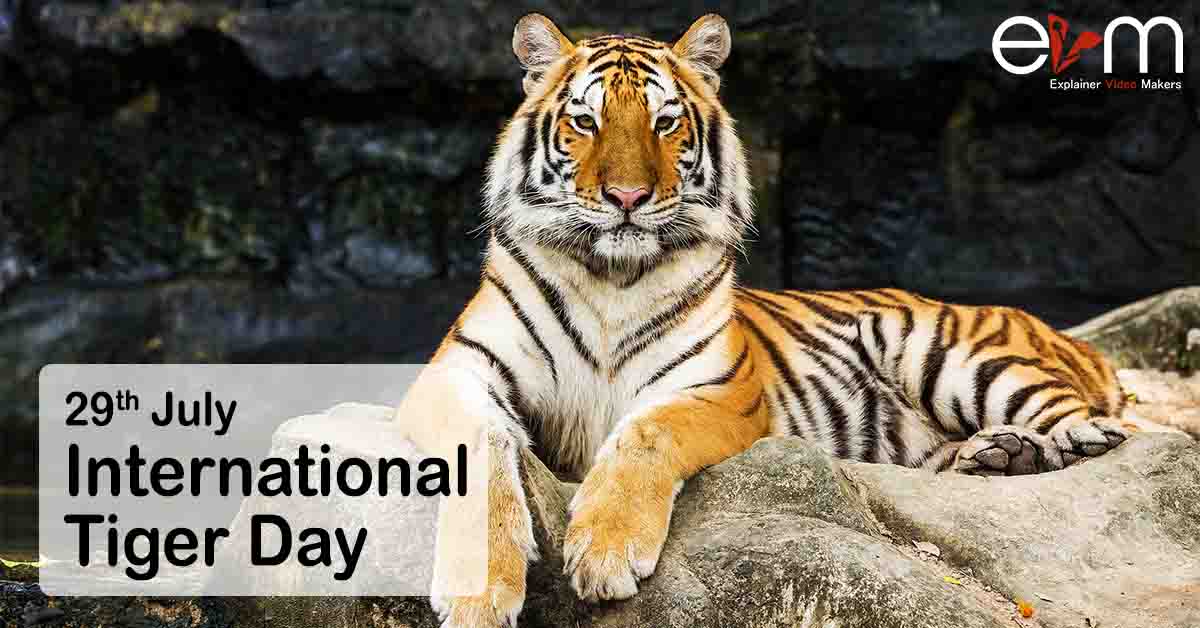 29th July International Tiger Day Explainer Video Makers