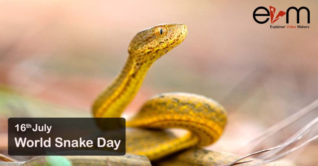 16th July: World Snake Day - Explainer Video Makers