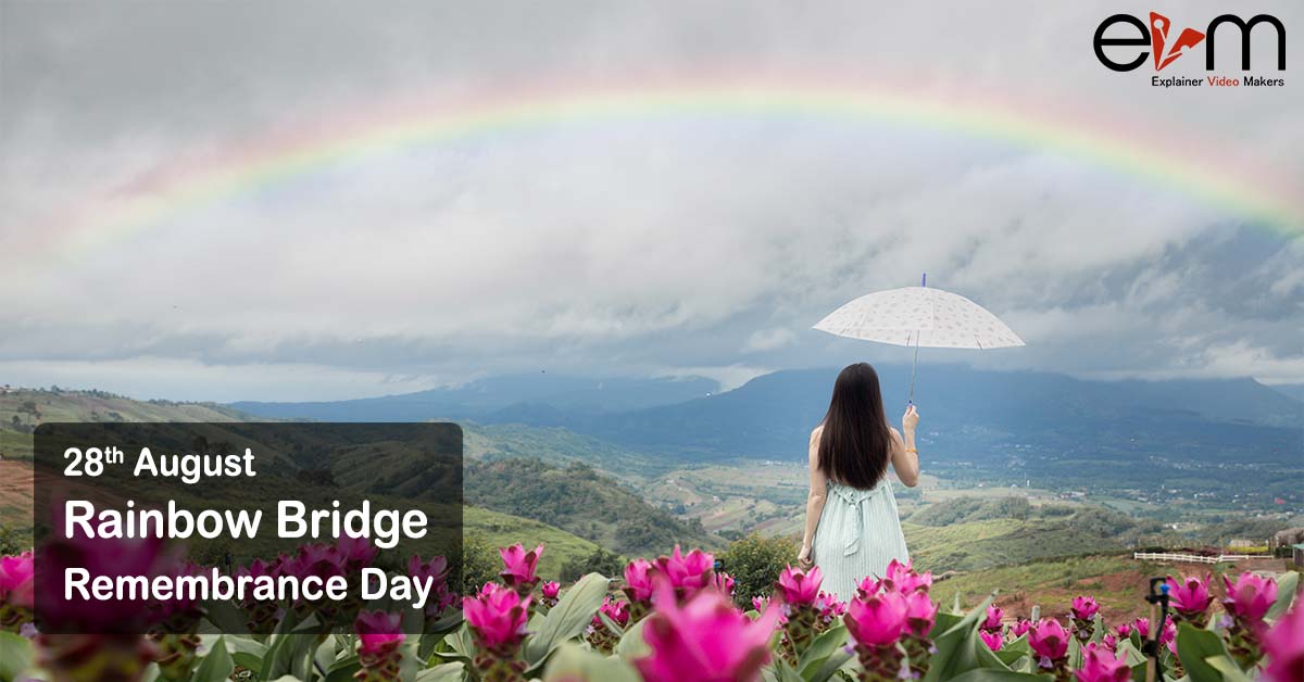 Rainbow Bridge Remembrance Day on August 28th explainer videos