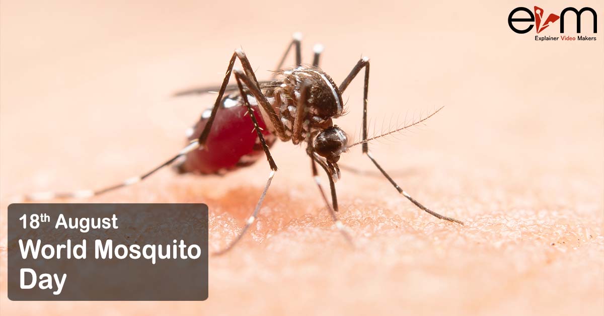 World Mosquito Day explainer videos