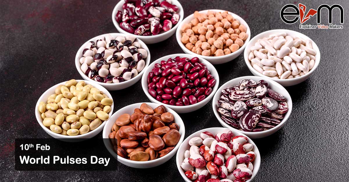 World Pulses Day explainer videos makers services in india