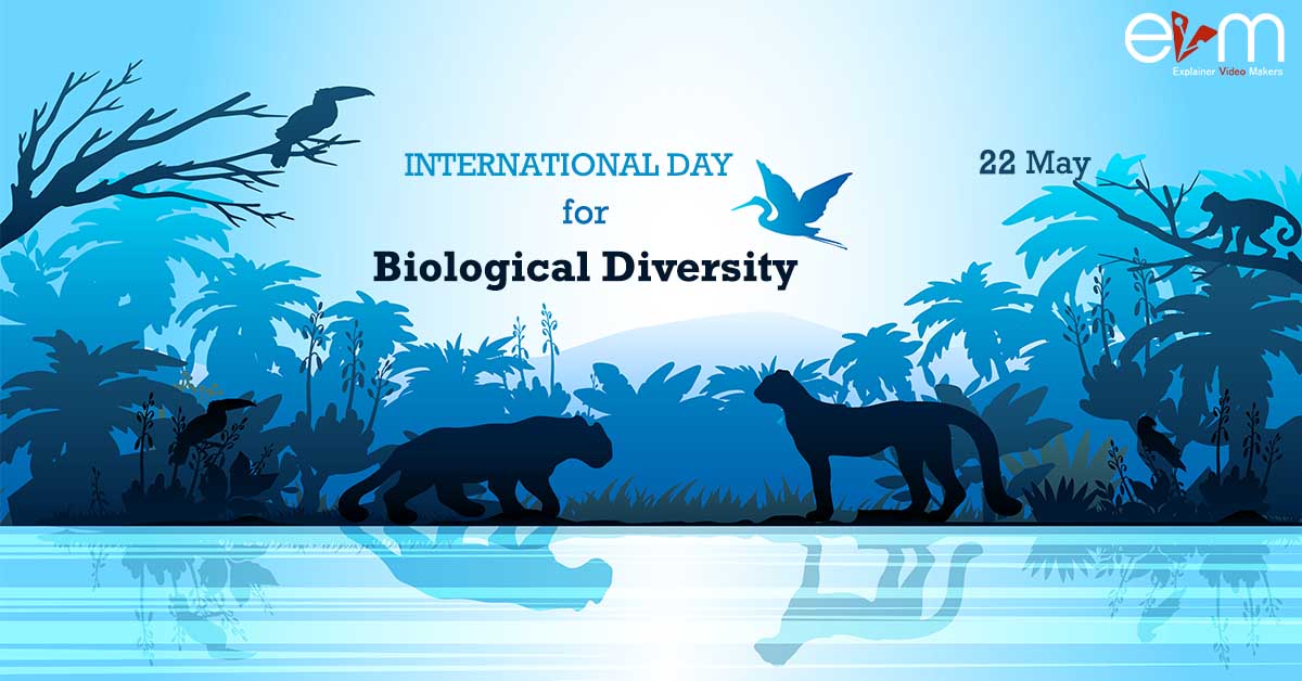 International Day for Biological Diversity explainer video makers