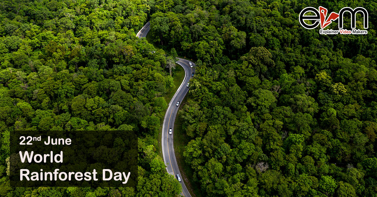 World Rainforest Day explainer video makers