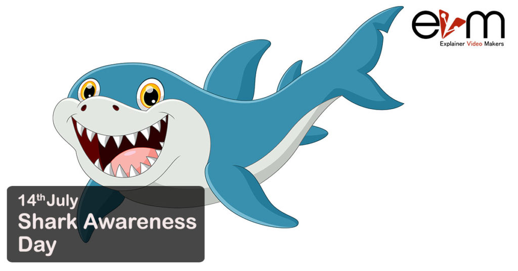 14th July Shark Awareness Day Explainer Video Makers