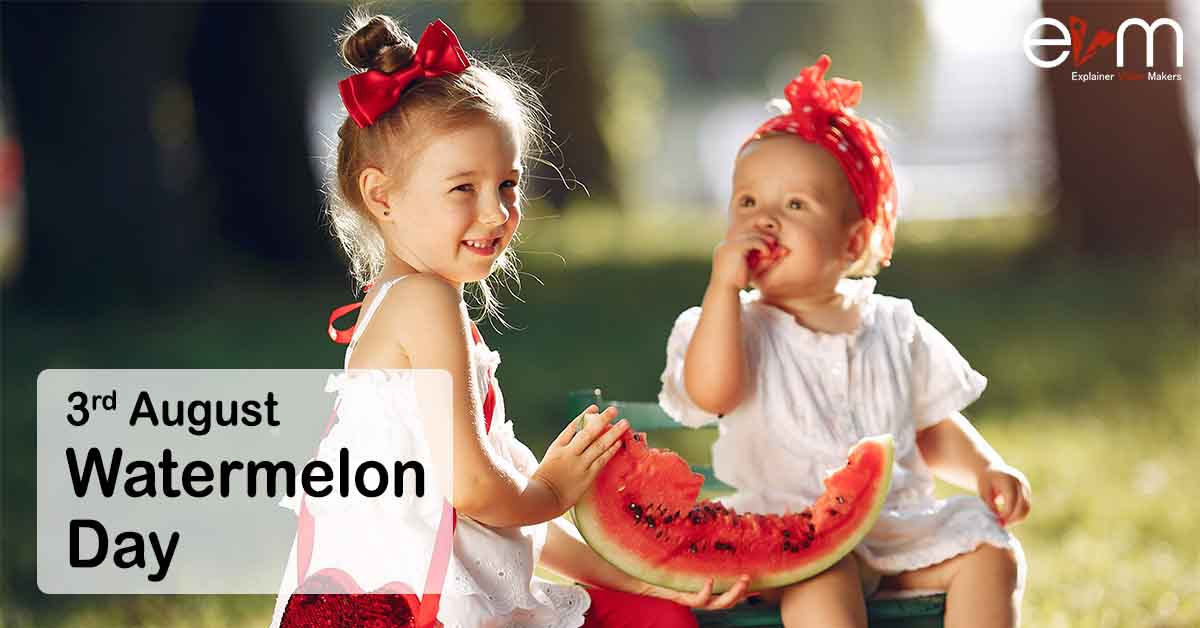 Watermelon Day explainer video makers