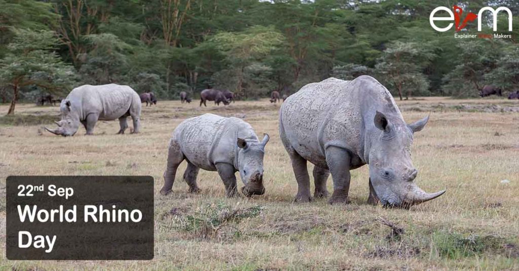 22nd September World Rhino Day Explainer Video Makers