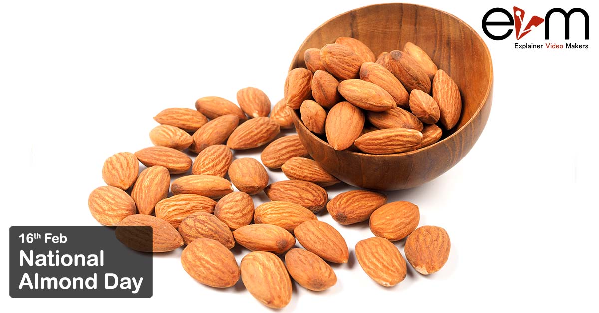 National Almond Day explainer video makers services in india